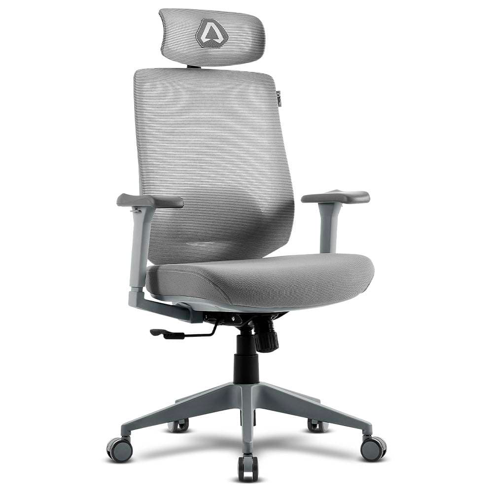 Product gallery prod_01KTKCWTMJM0W204QPM74NXG6S-0