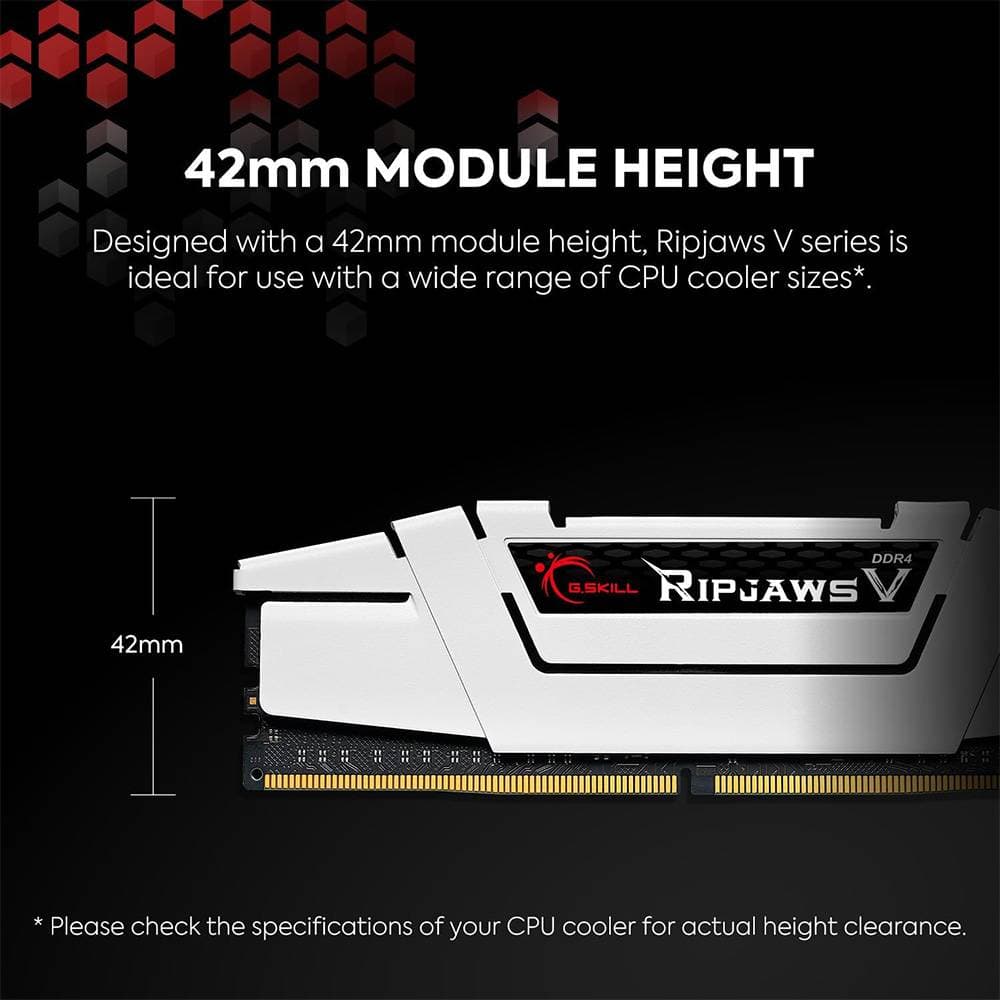 Product gallery prod_01KTKBSAKTBXJ0CTFMBBT144CK-4