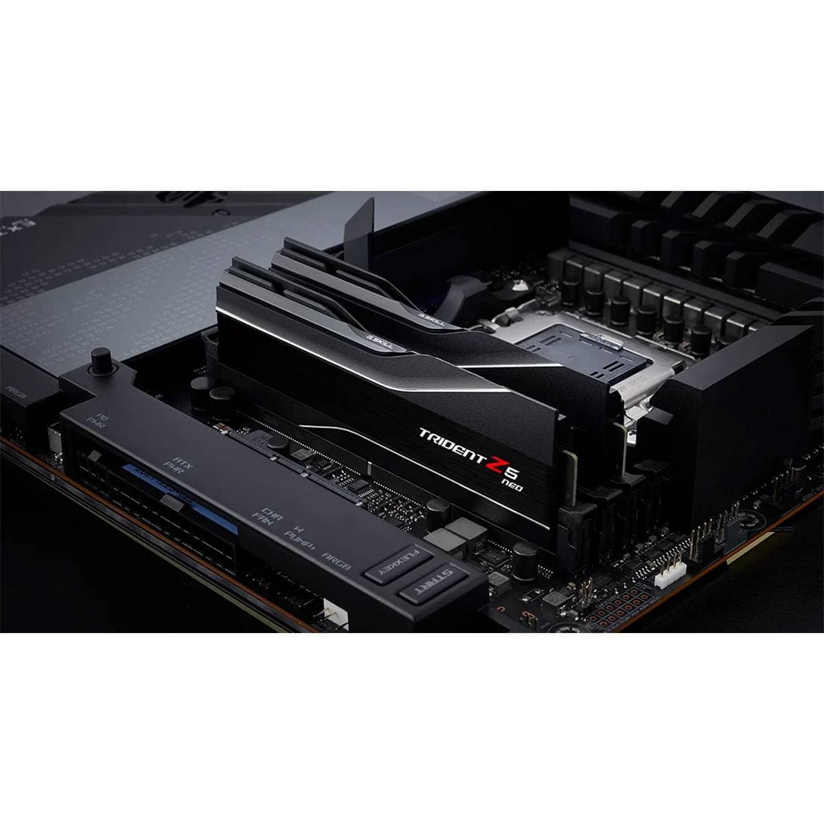 Product gallery prod_01KTKBT2E4PSXR33GRBV82PCVA-3