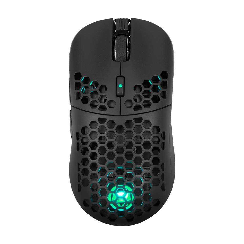 Product gallery prod_01KTKCFDXJCECAEB8KY8JB5A0X-0