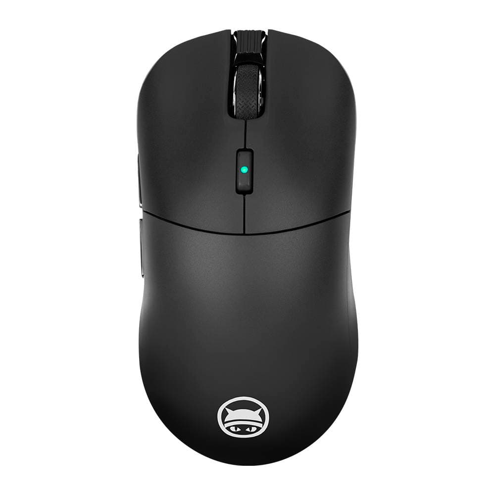 Product gallery prod_01KTKCFDXJCECAEB8KY8JB5A0X-1
