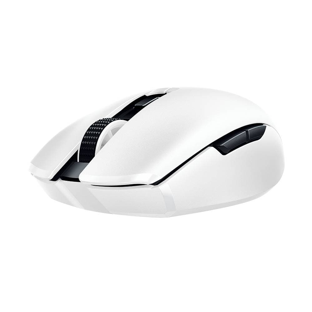 Product gallery prod_01KTKDTFG52JBYH4QM05CW3GHR-2