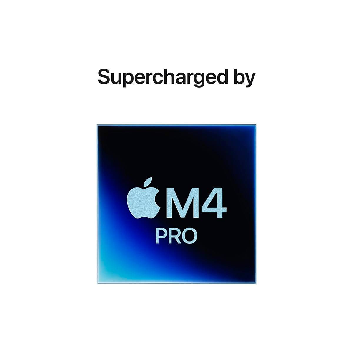 Product gallery prod_01KTKCE3604VVBA5C11CWHWXX4-2