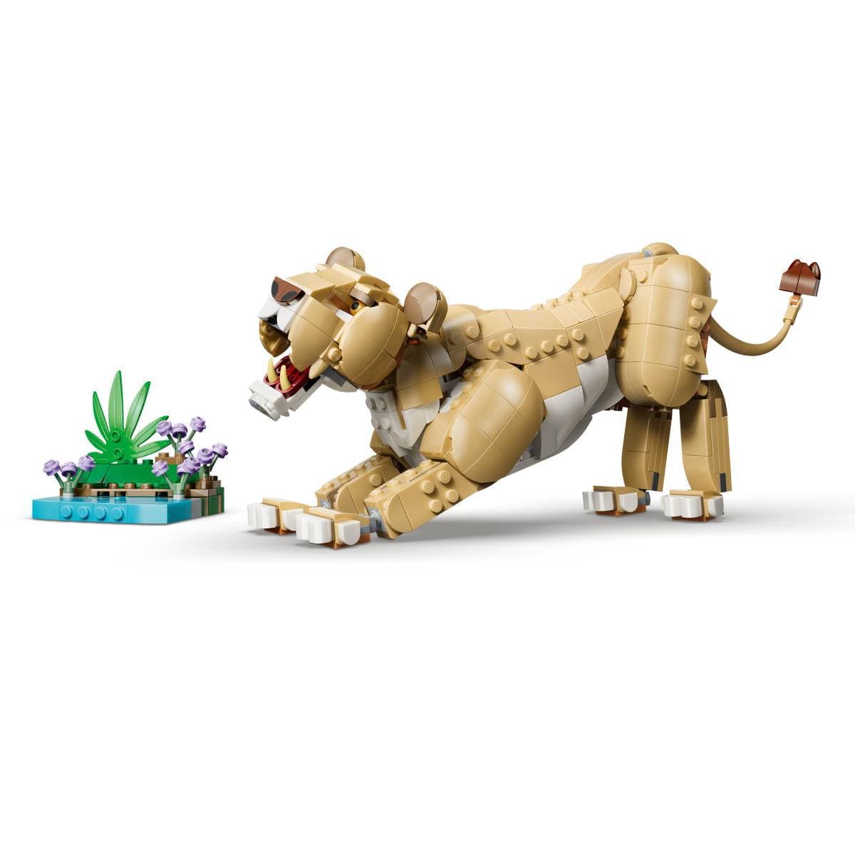 Product gallery prod_01KTKDQTJQ6SVZSKQZWRY43R5J-5