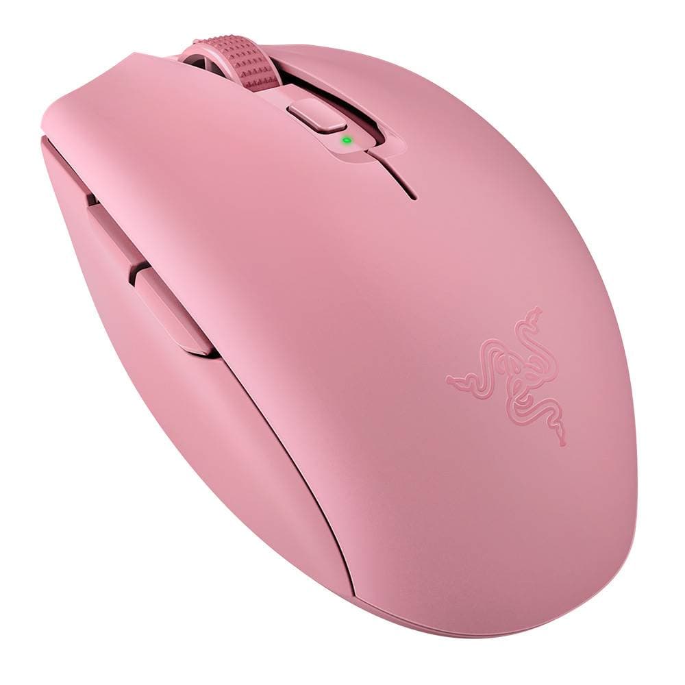 Product gallery prod_01KTKDTFNH0RSK23QJSN4FYXSR-1