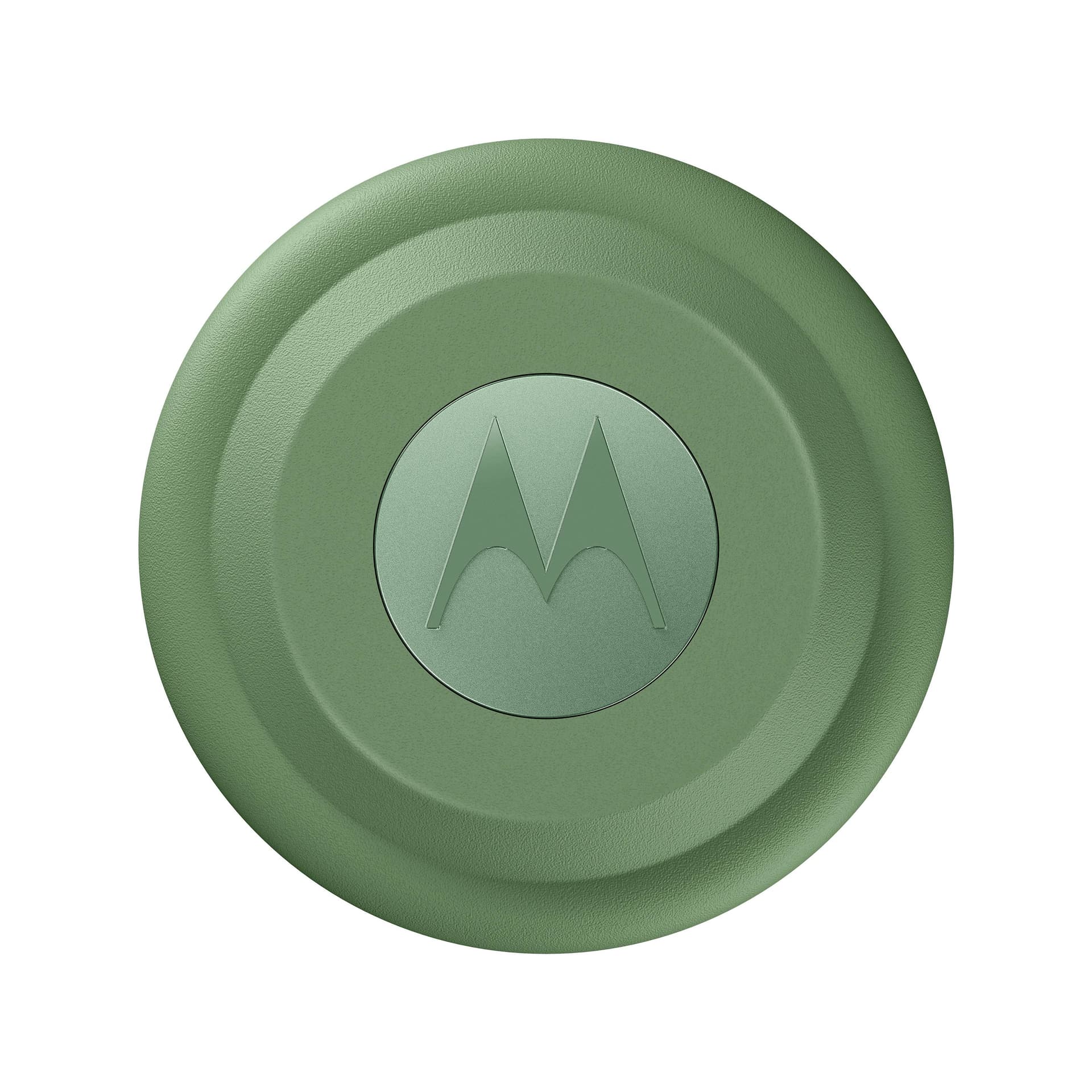 Product gallery prod_01KTKDVF4W59BXFJDQY6GRBJRH-2