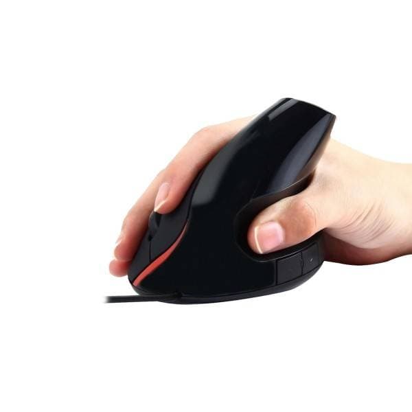 Product gallery prod_01KTKBXRAG6EM4F9YZXAH2T288-1