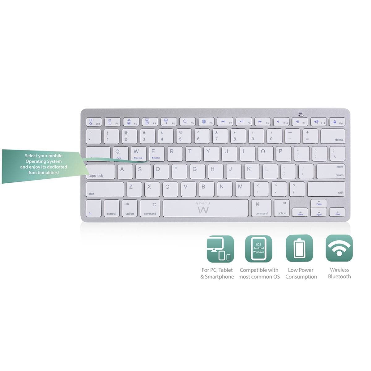 Product gallery prod_01KTKBVDTP4NBVSR5679BMSFFR-2