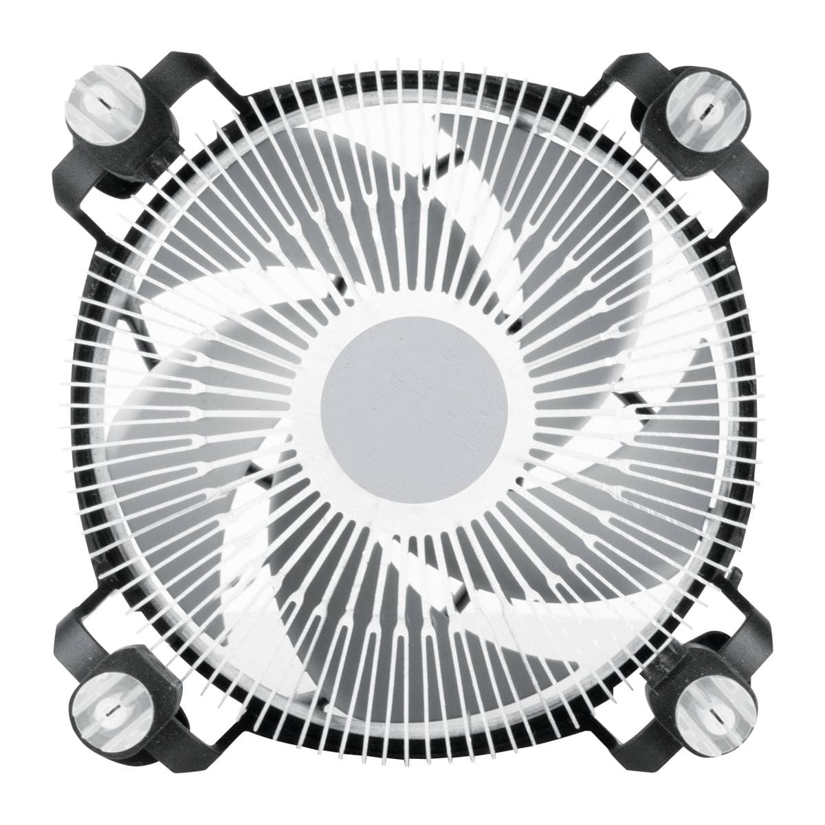 Product gallery prod_01KTKCTAN6PWAJB29GKANCR54Q-5