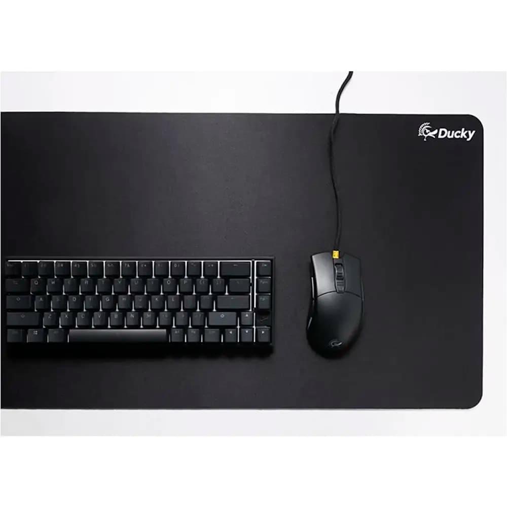 Product gallery prod_01KTKD1WXN51FRZPX3ZWBMSK0R-2
