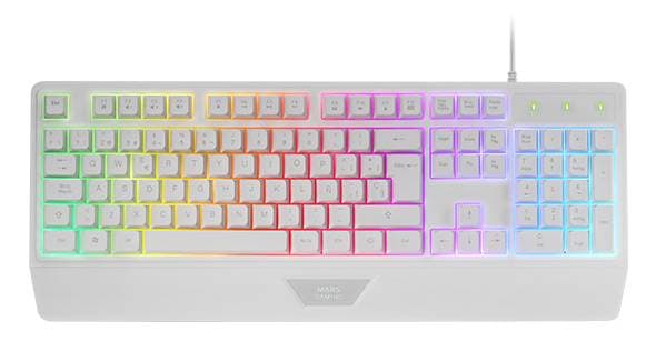 Product gallery prod_01KTKCKQSN8E9N9CWJP8CFTQGR-2