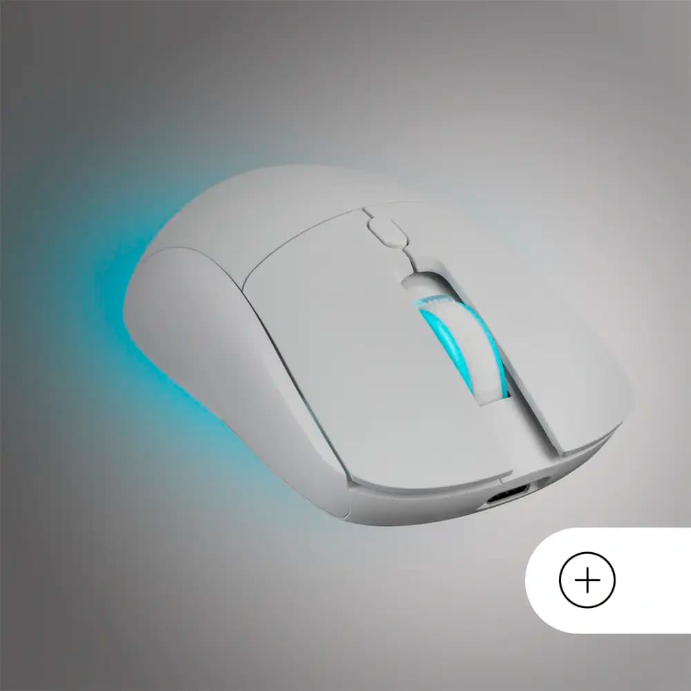Product gallery prod_01KTKD3DMKV6E4ZV1P3ENQNB7N-4