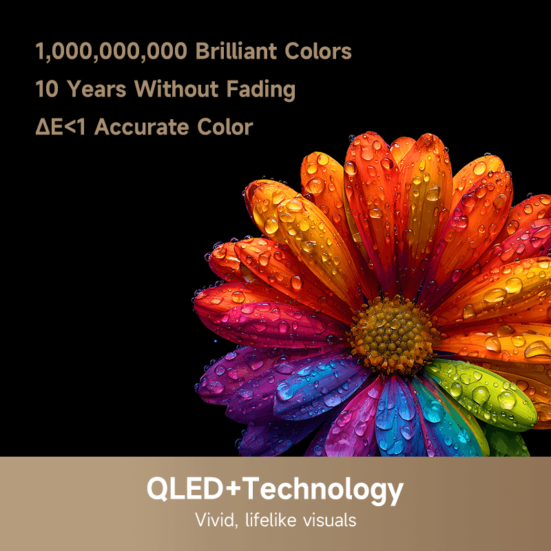 Product gallery prod_01KVFPGG9N3G6DYWY1MSHMBRXZ-2