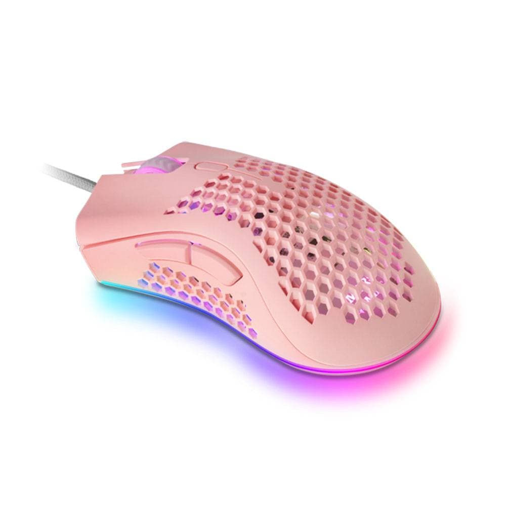 Product gallery prod_01KTKD41STAWMKWQK1WN7R9NTN-1