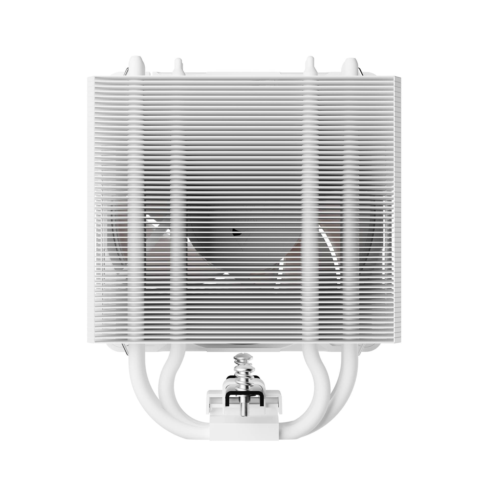 Product gallery prod_01KTKDVCRT8PYGH2MHNBWWFN4Q-5