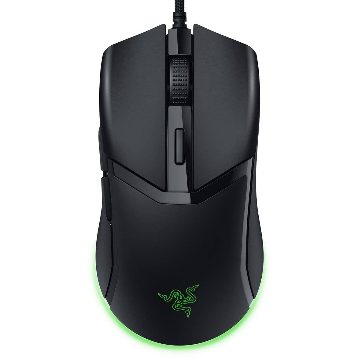 Product gallery prod_01KTKBT9CX73NEGKQED296VC7H-0