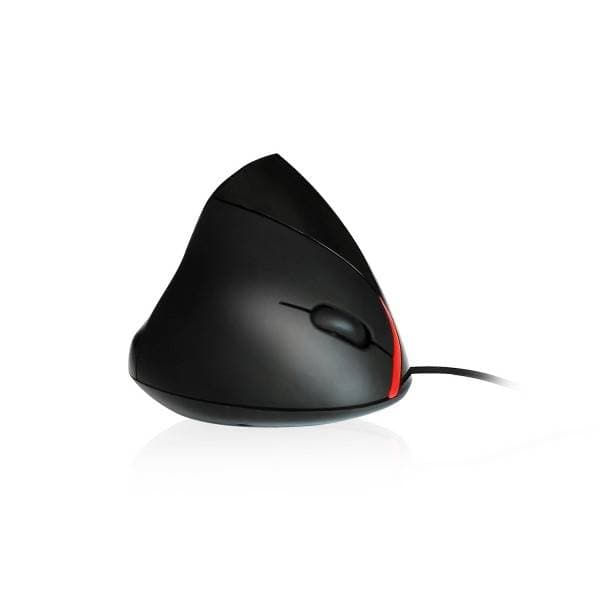 Product gallery prod_01KTKBXRAG6EM4F9YZXAH2T288-2