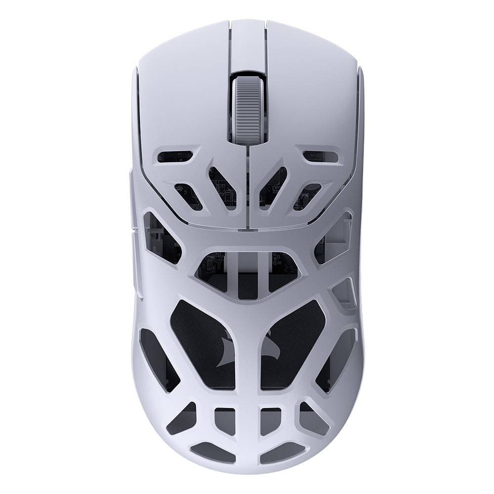 Product gallery prod_01KTKDKDNJ1Y46BHN4G0Y9D2TP-0