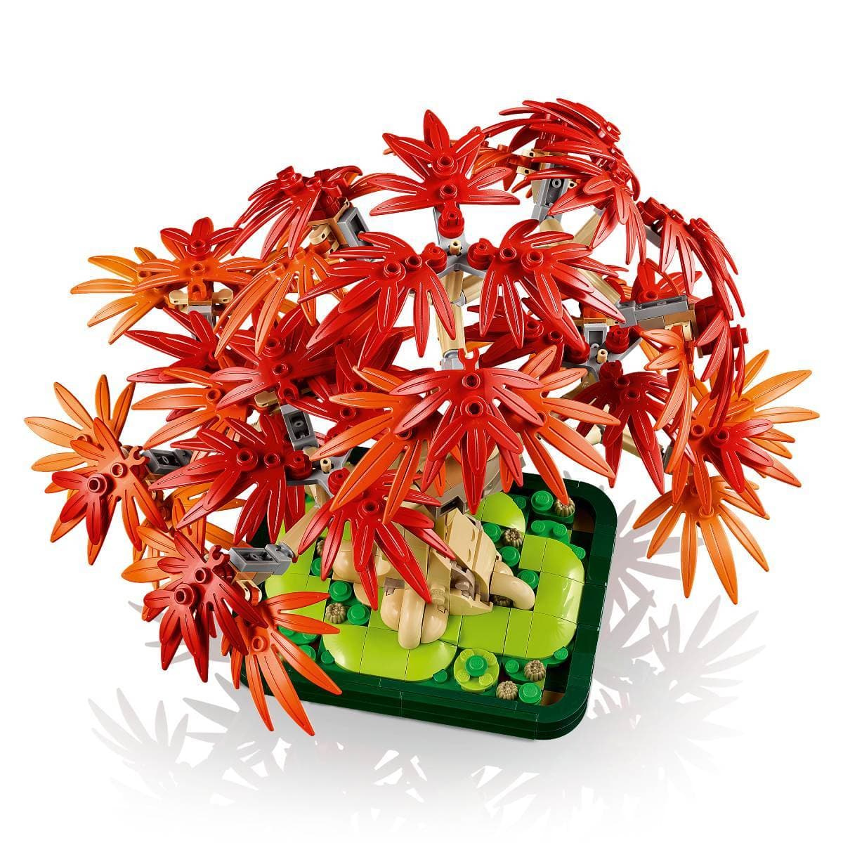 Product gallery prod_01KTKCQZKGEB5X86QT8VQXQ2JK-2
