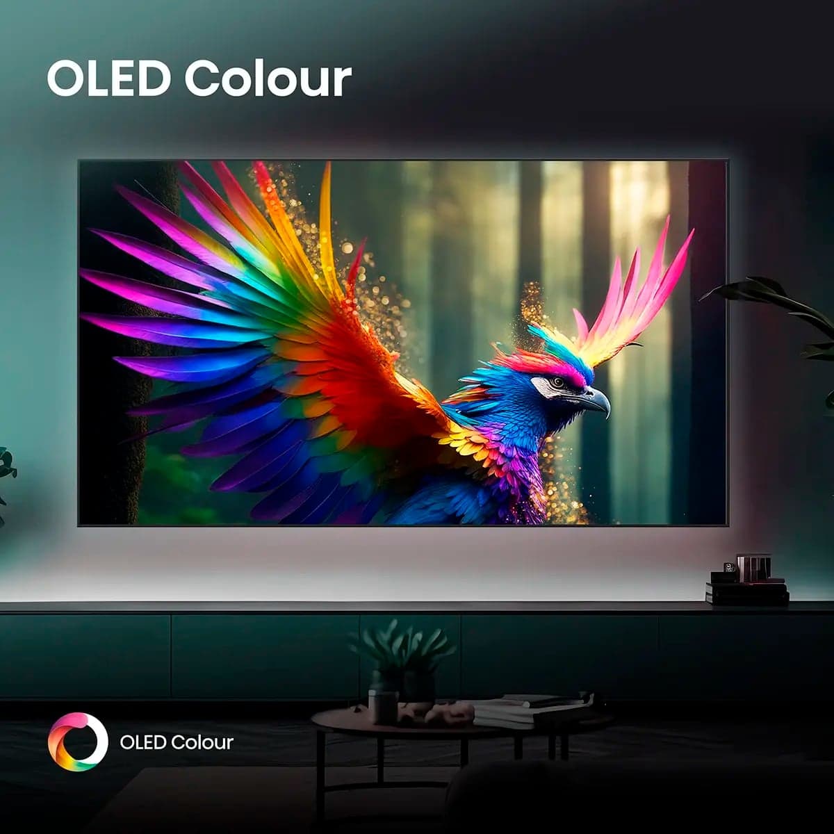 Product gallery prod_01KVFPEVDA24PHPZCPHMPYV3GN-2