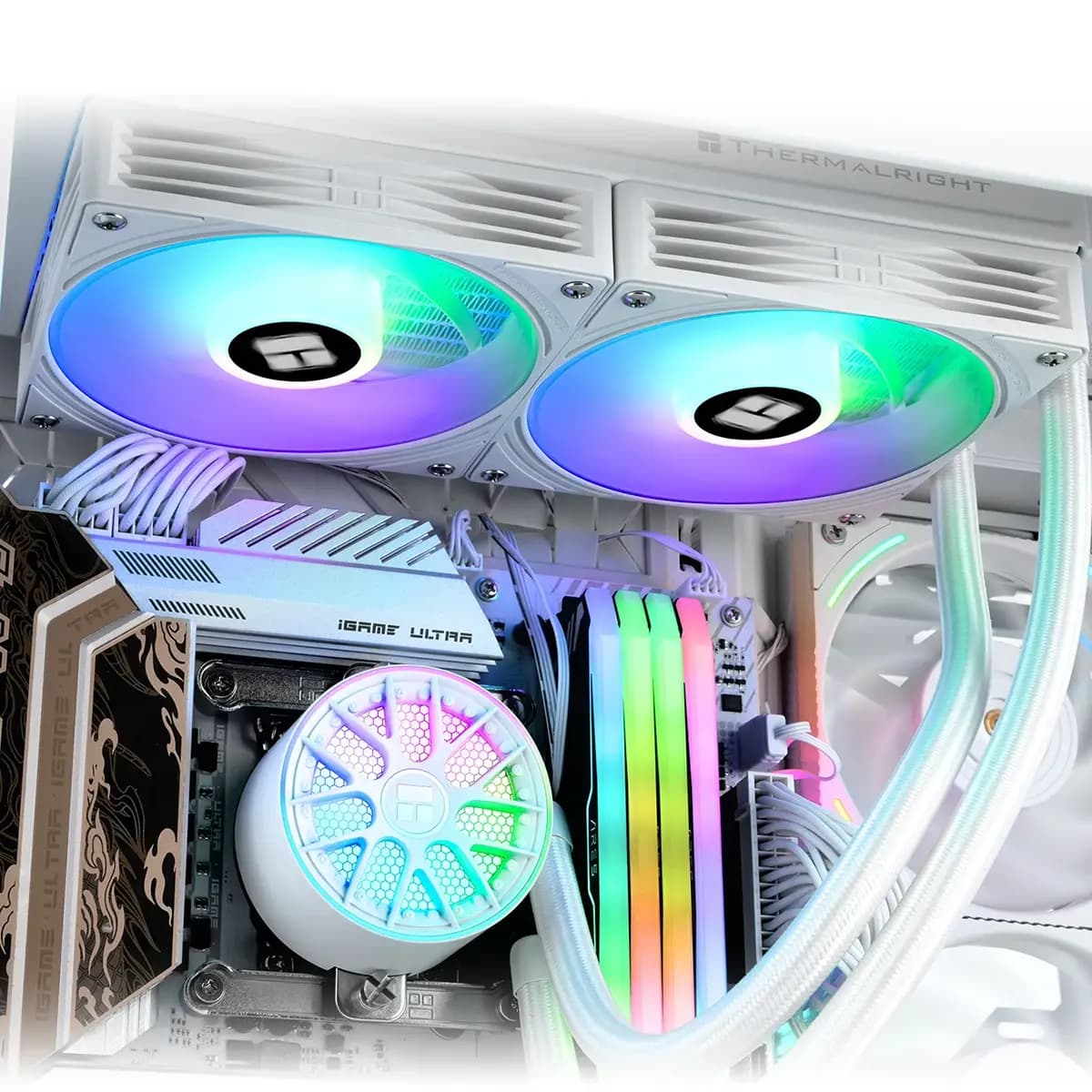 Product gallery prod_01KTKCZJ6XXE5W4B00R7JHWCSJ-2