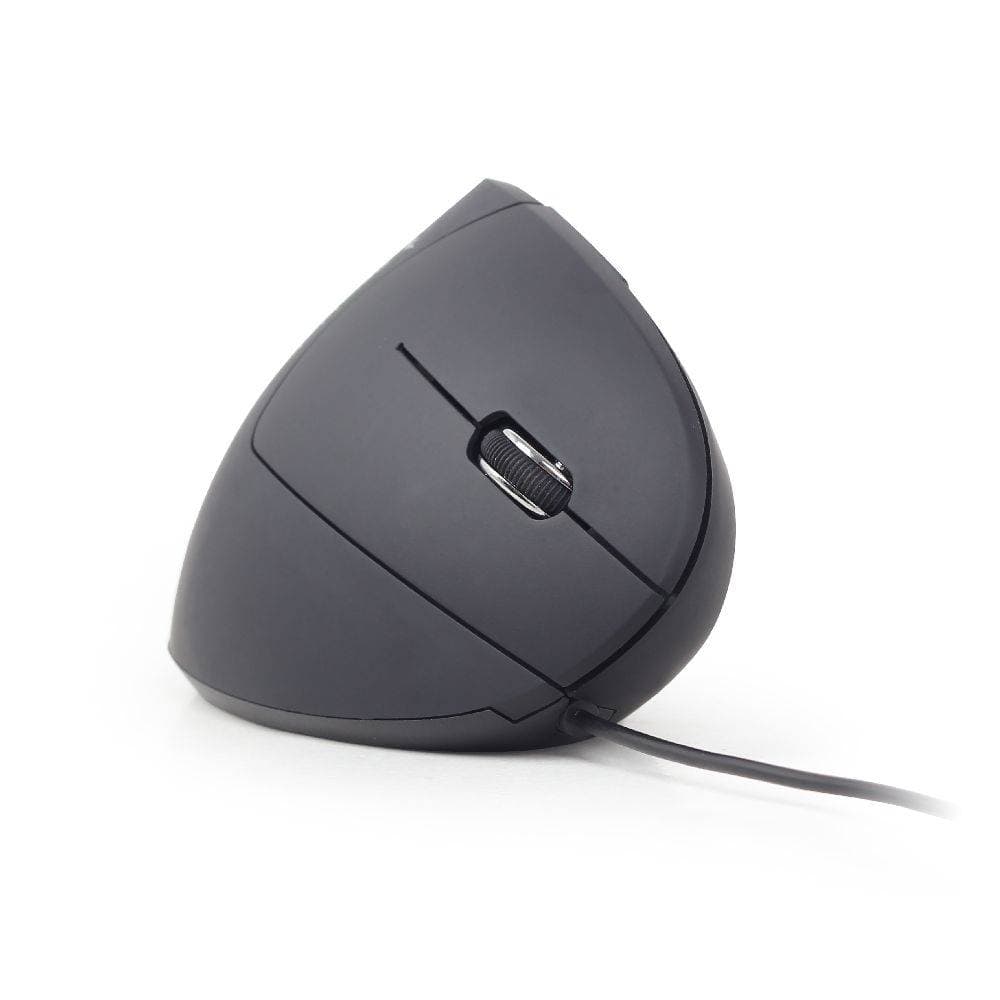 Product gallery prod_01KTKBRKS5K9HSEAB6DZB4K8HJ-1