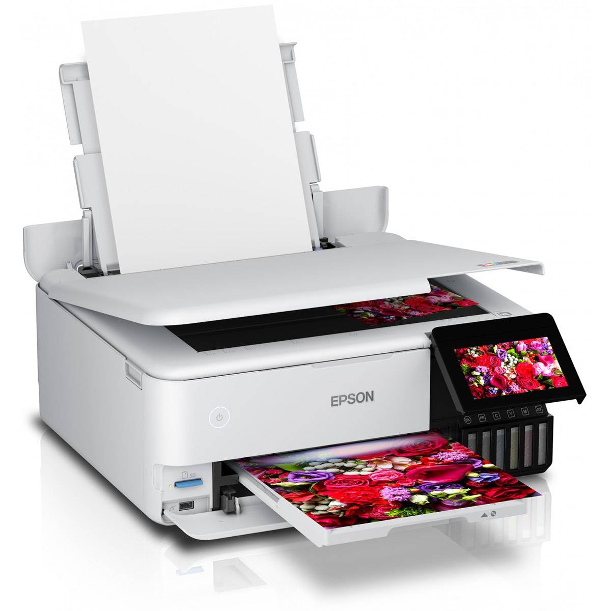 Product gallery prod_01KTKC0K8CG7N9CXHVNZB2SH48-1