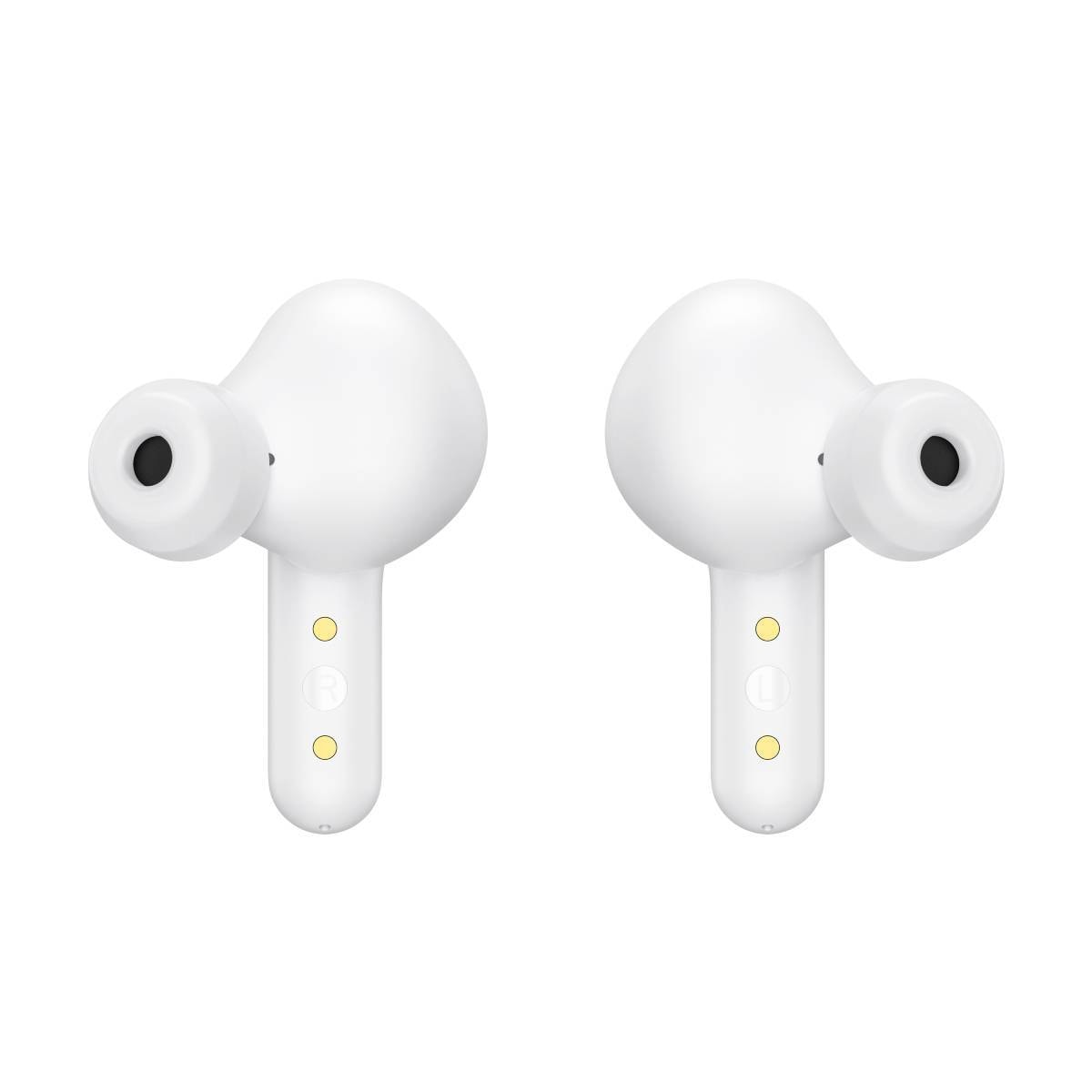 Product gallery prod_01KTKDSXPMN38ZQCEVV0BNG3YQ-2