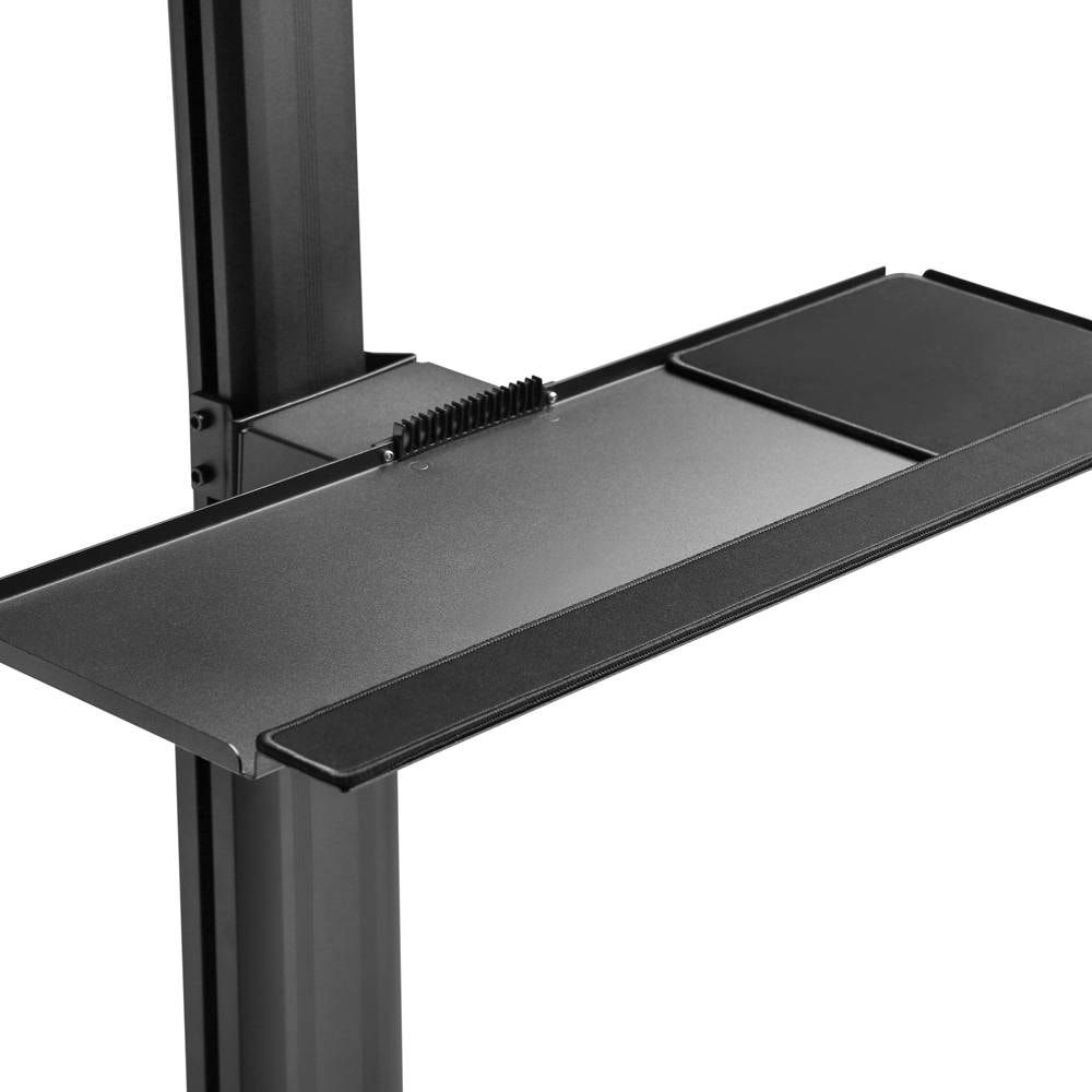 Product gallery prod_01KTKC3HTQFZWH9NRFGAMSFVED-5