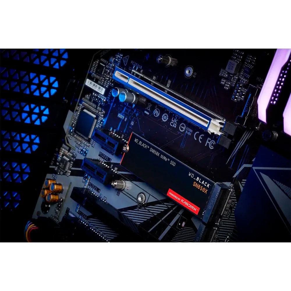Product gallery prod_01KTKC96D3MND1FQ501EC5GYV6-4