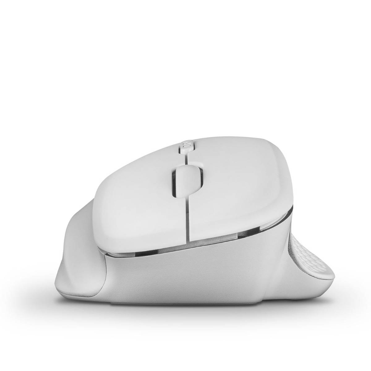 Product gallery prod_01KTKCC1861212JCT0Y4SPE4ZB-2