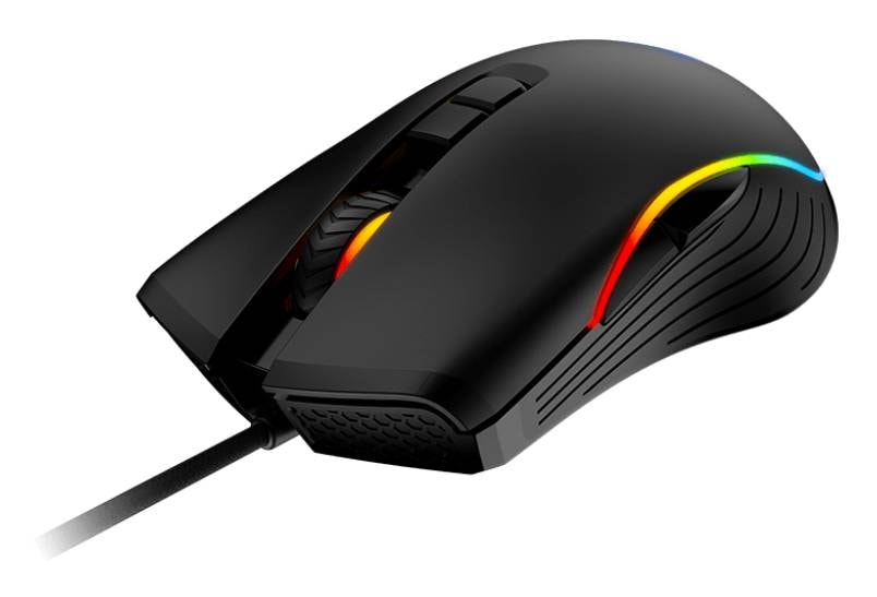 Product gallery prod_01KTKCKJM8MTJ94WVFG7YCHXQA-2