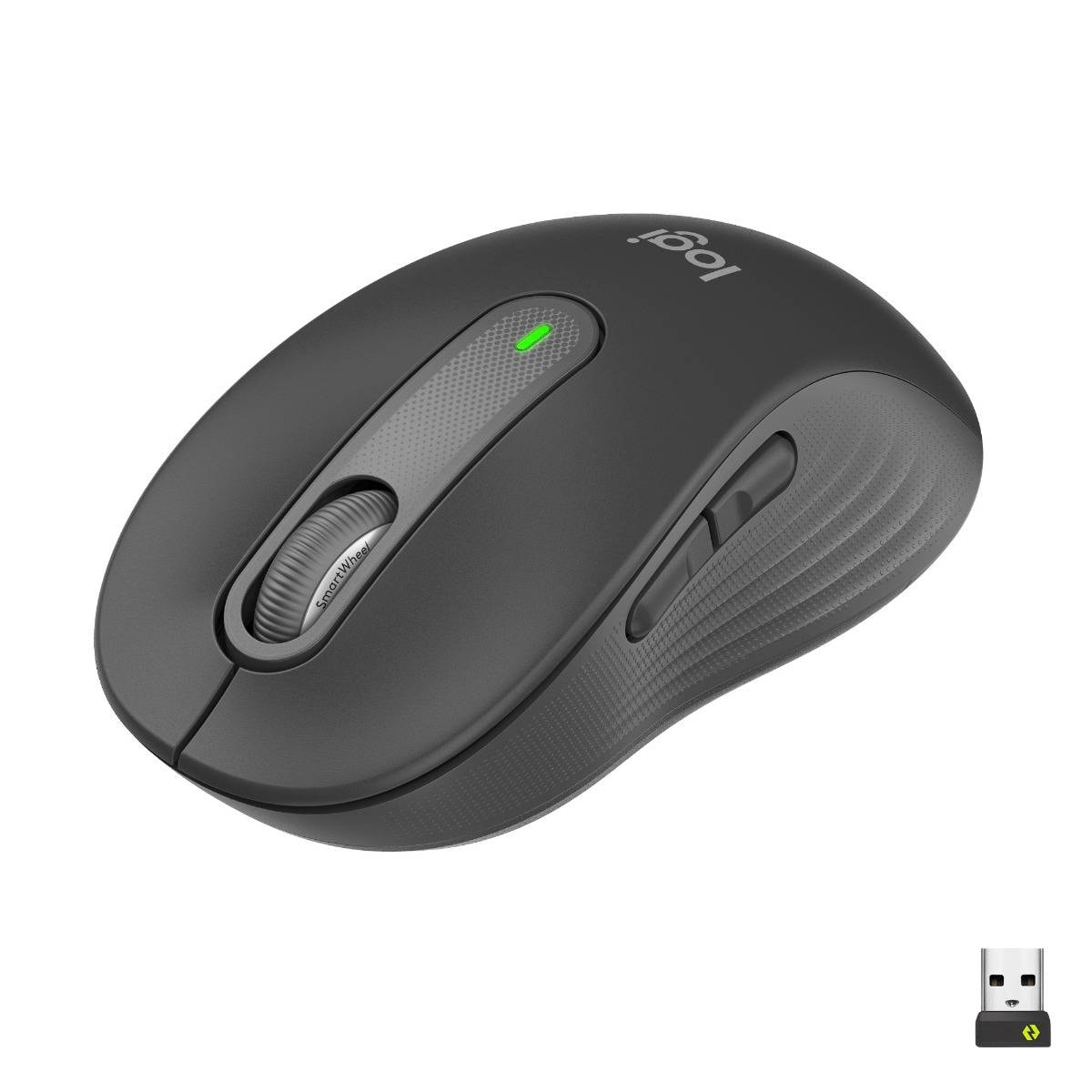 Product gallery prod_01KTKDPXTEMK21VHH1HJB8Y6RA-0