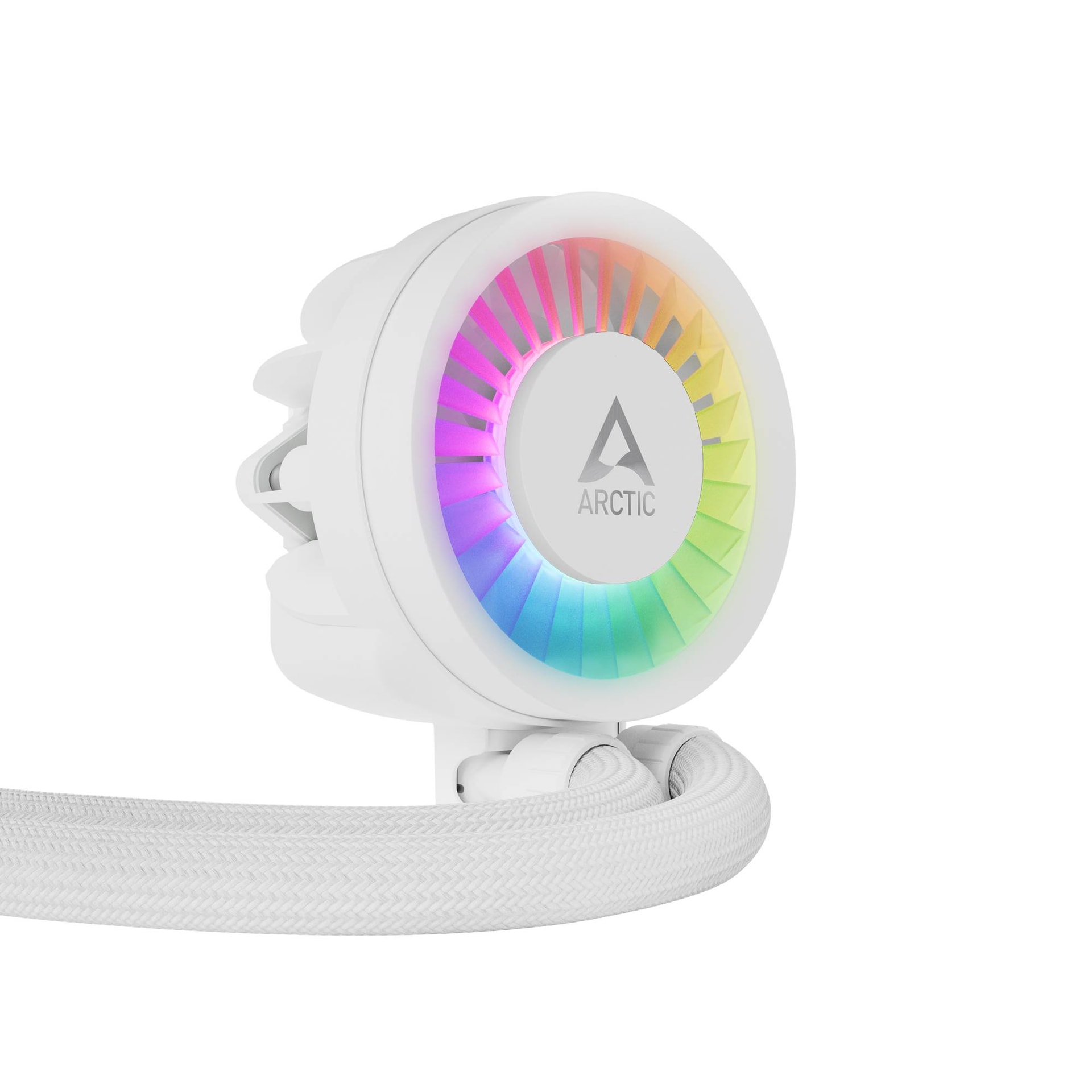 Product gallery prod_01KTKC0SAWY4DRTN60D2SMEDFH-3