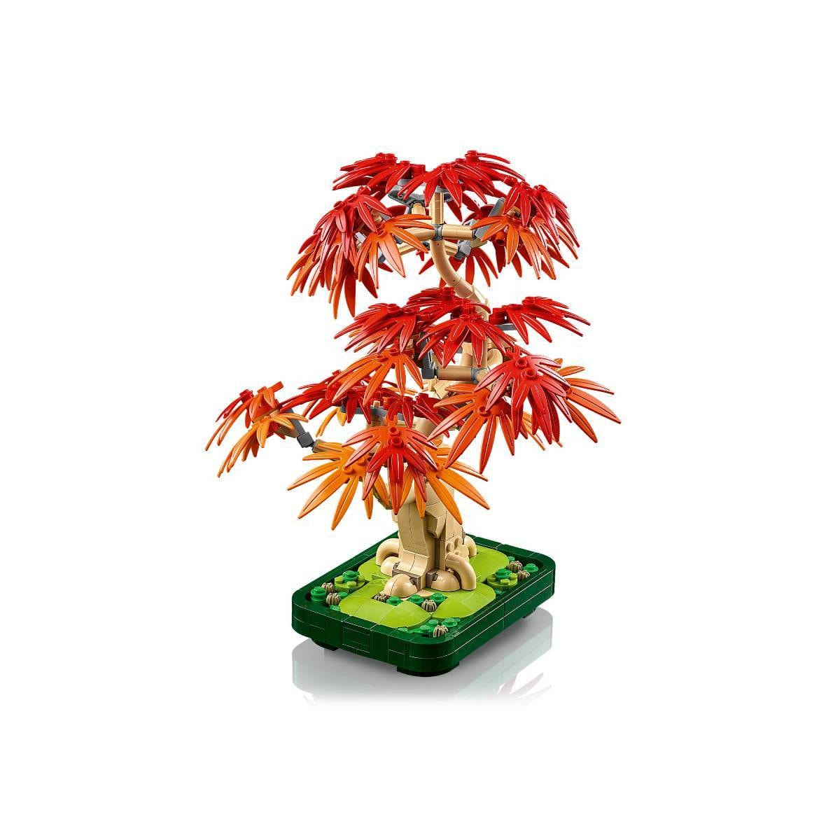 Product gallery prod_01KTKCQZKGEB5X86QT8VQXQ2JK-1