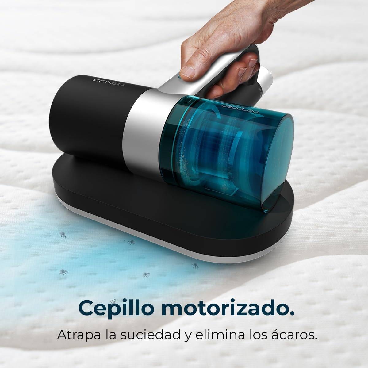 Product gallery prod_01KTKC9V1CJR6JWP6X5H6E1M09-3