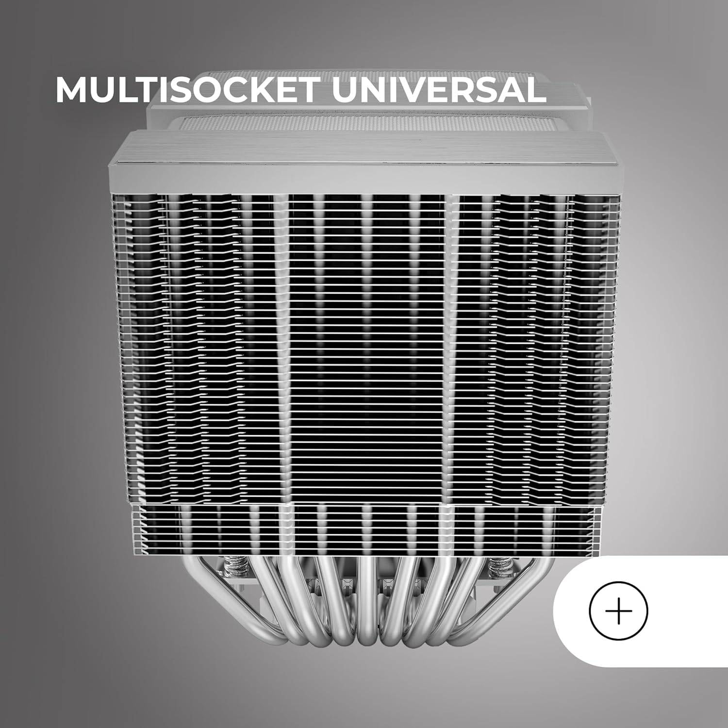 Product gallery prod_01KTKCT6TASDHA10PWNZKYXNJC-3