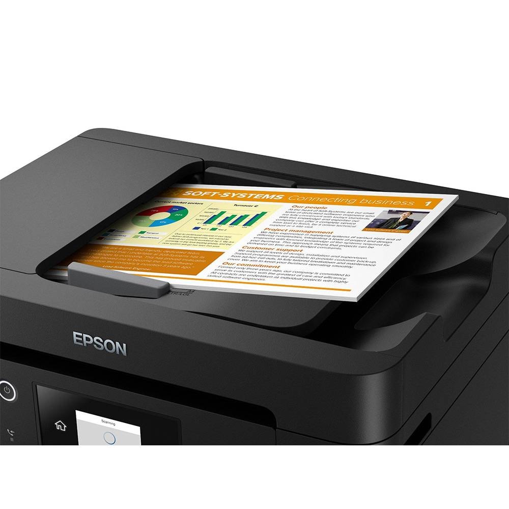 Product gallery prod_01KTKCA3F7EYQJQVN5MBSVKYFR-4