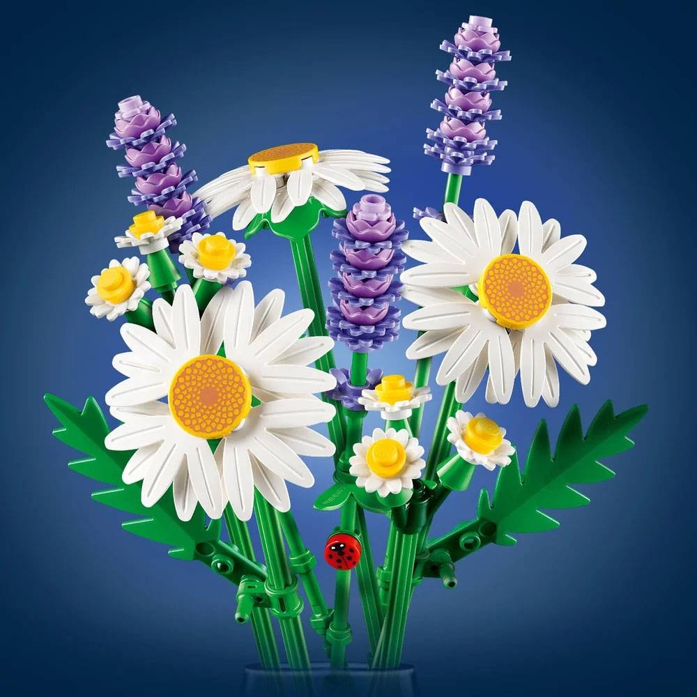Product gallery prod_01KTKDSYEP5P86CHQ282RS0SP5-2