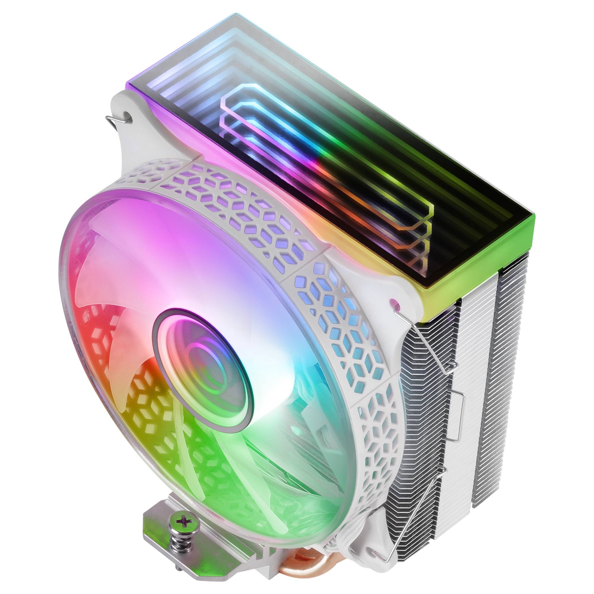Product gallery prod_01KTKCSBK69G1G39W1RBABE4TM-2