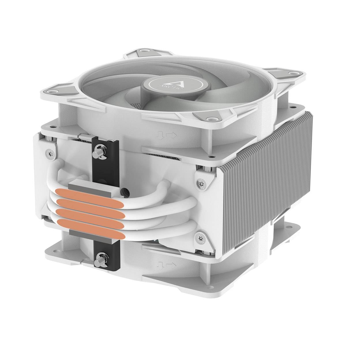 Product gallery prod_01KTKC2AJW3VSXTT145PYKHXZY-5