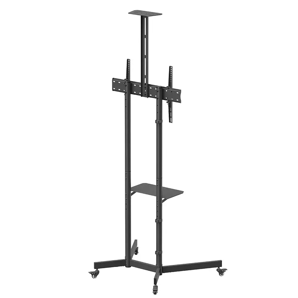Product gallery prod_01KTKCXAHATBH4FSHDQCXTXK6S-3
