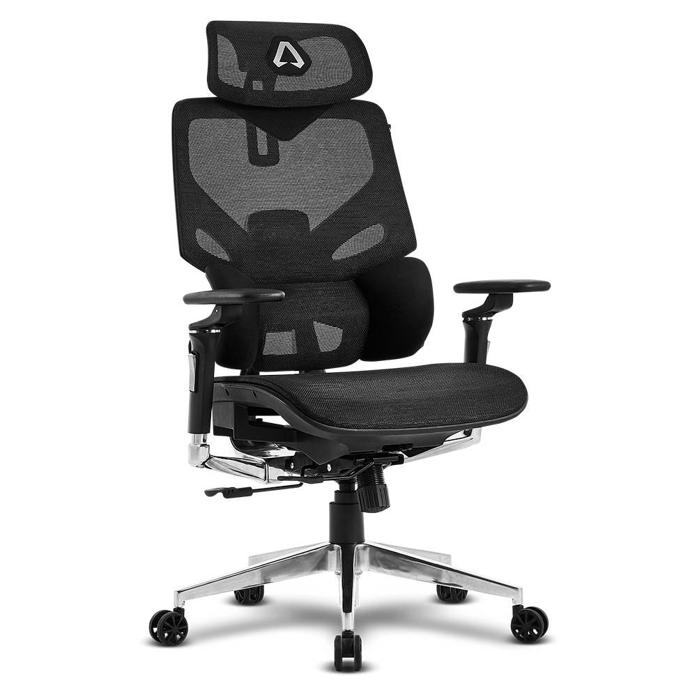 Product gallery prod_01KTKCBX29DNCMDEEJHZC7WPJH-0