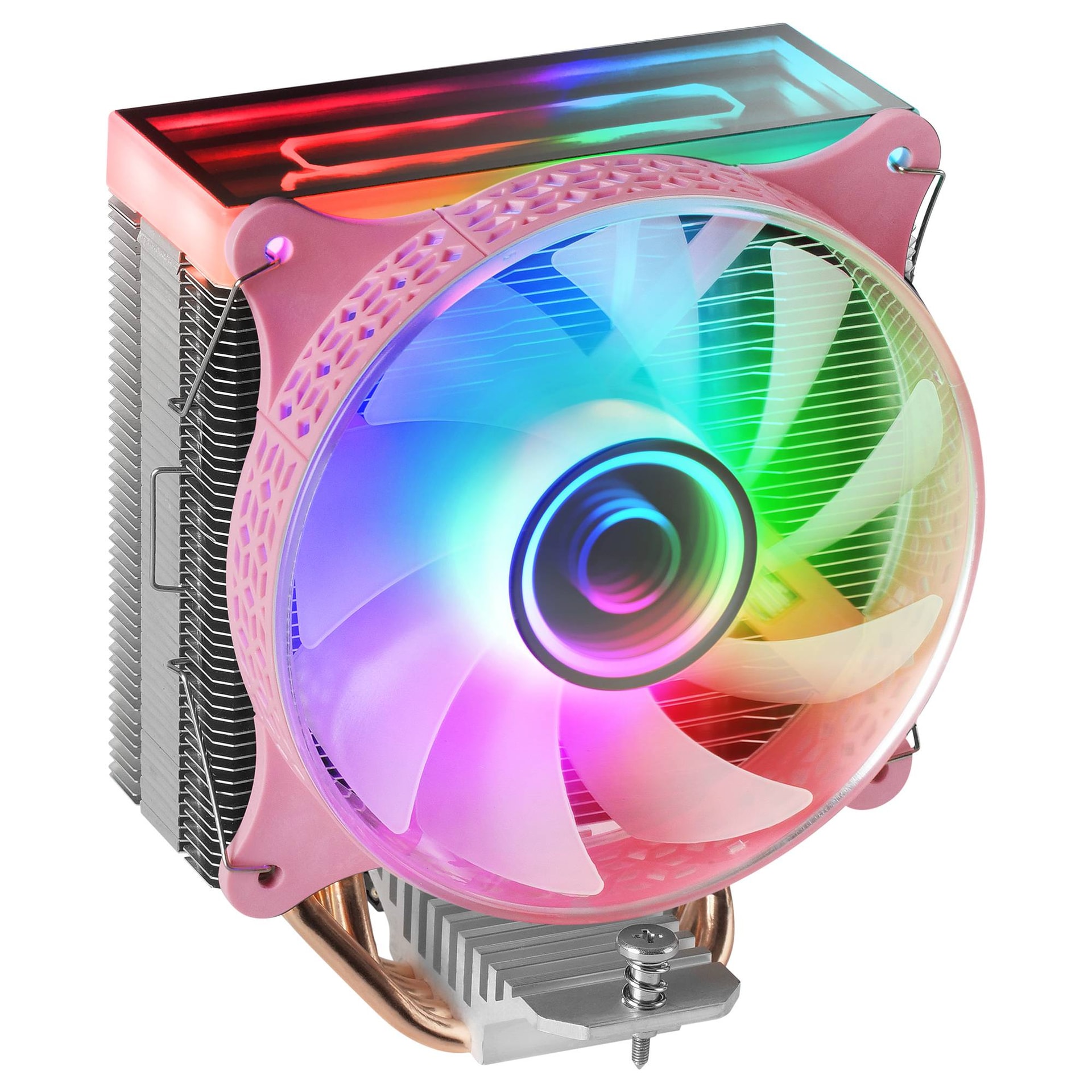 Product gallery prod_01KTKCMW0GCVMDVNP7GS6F98J3-0