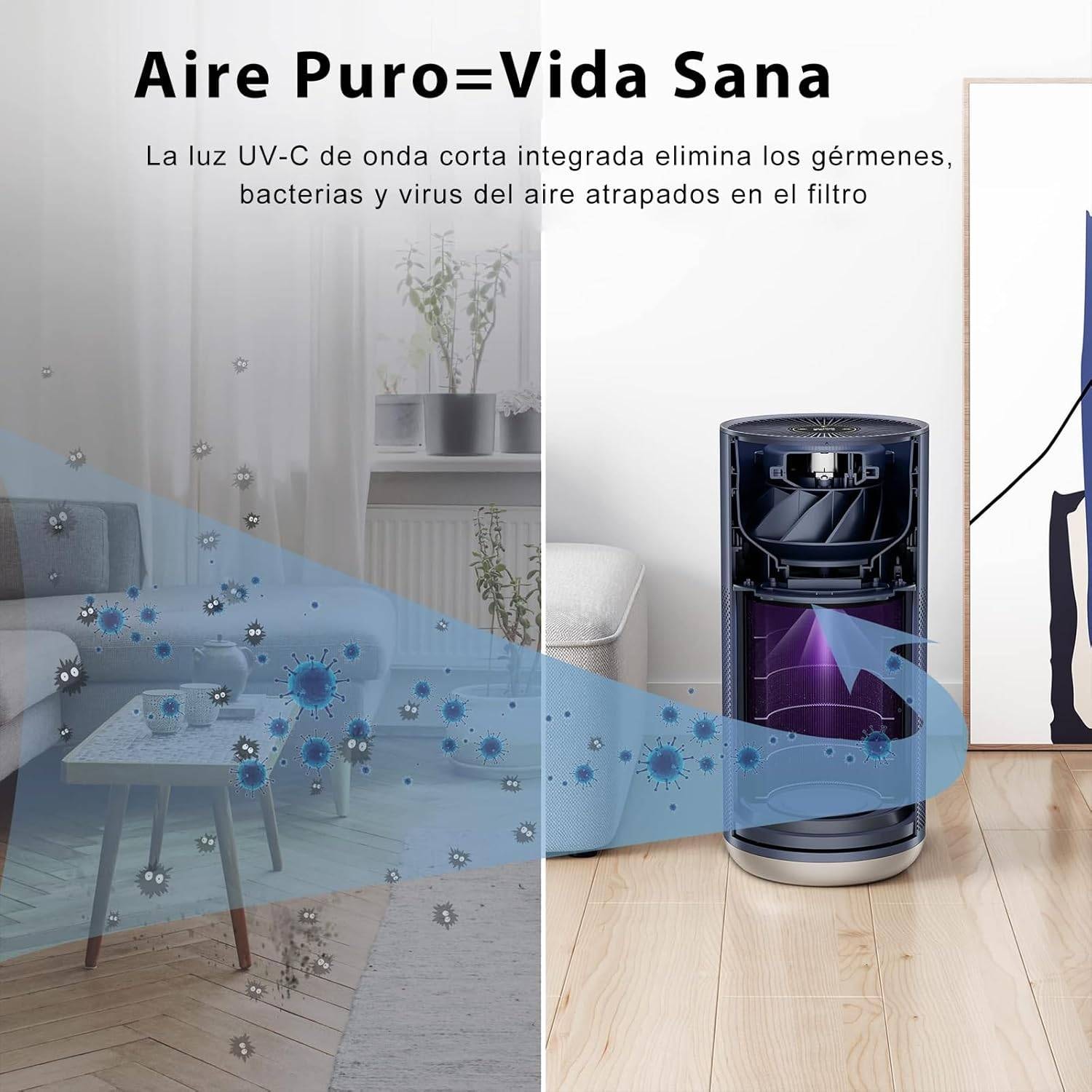 Product gallery prod_01KTKD1NBMQ7Q6Z7H0035ME0S7-2