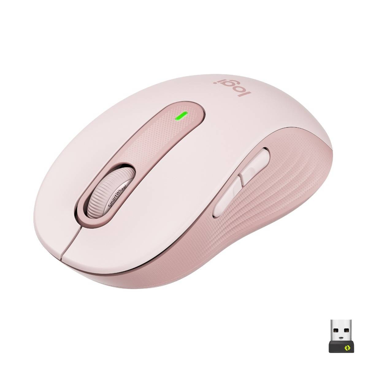 Product gallery prod_01KTKBZ7GBJY4ZE6R8N6CJ953S-0