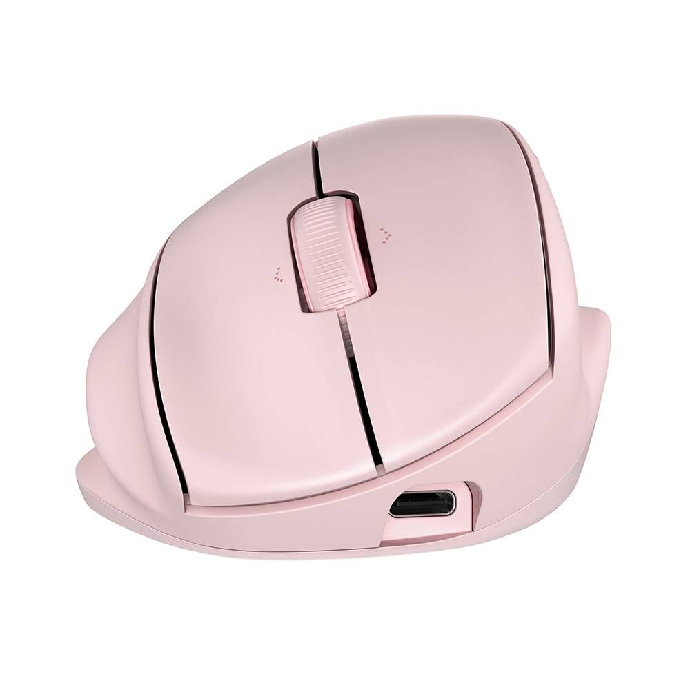 Product gallery prod_01KTKDFCZAFFWEWMARAT14R15Y-4