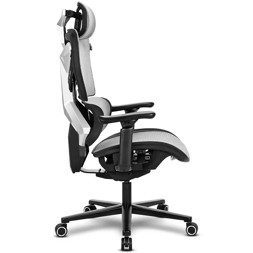 Product gallery prod_01KTKD1XFMQ6GHE1PDF4WKG6AS-2
