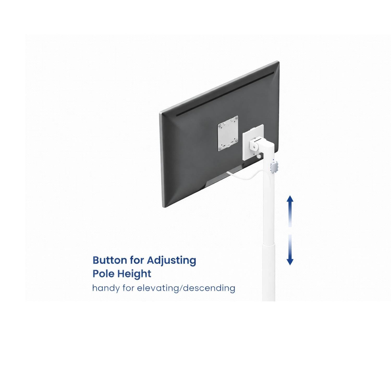 Product gallery prod_01KTKDGW63ZA0175FYN2B38W5E-3
