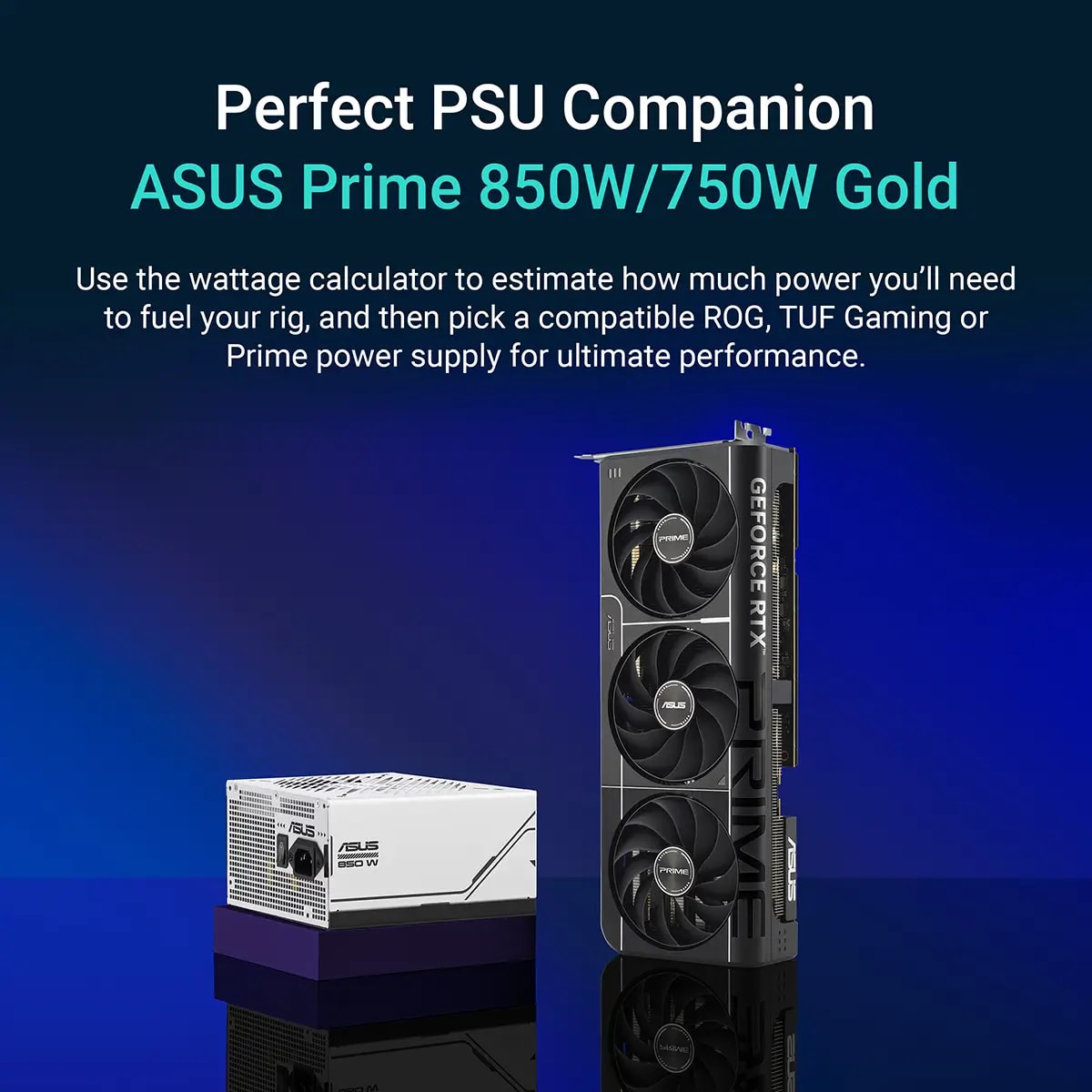 Product gallery prod_01KTKCKB8Z2THKM427Y5GZTFRA-5